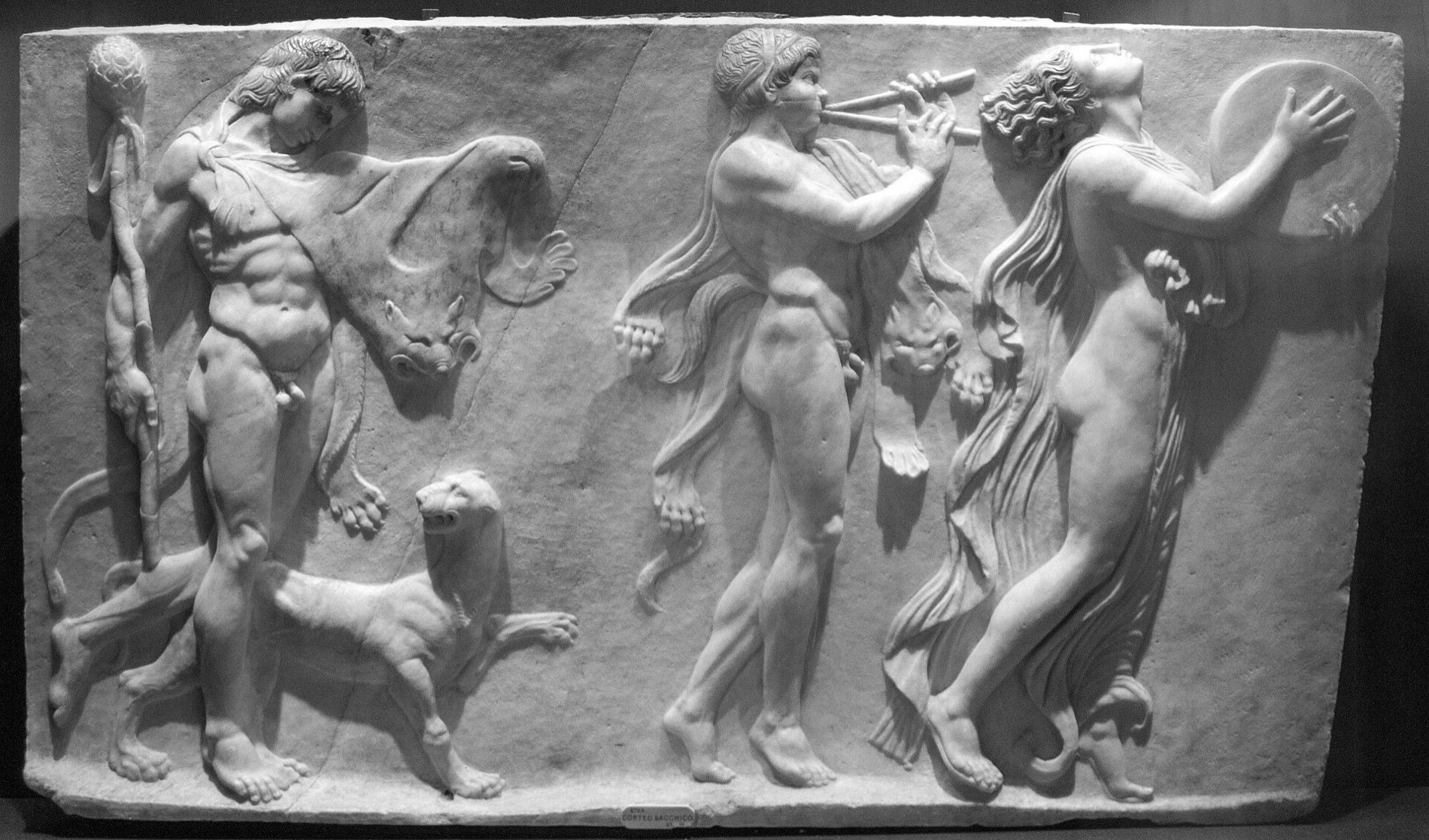 Bacchus