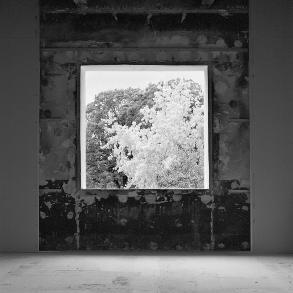 « L’être-lieu Taittinger… Une métamorphose », 2023 – 2024. Photographies issues de la résidence au sein de la Maison Taittinger.