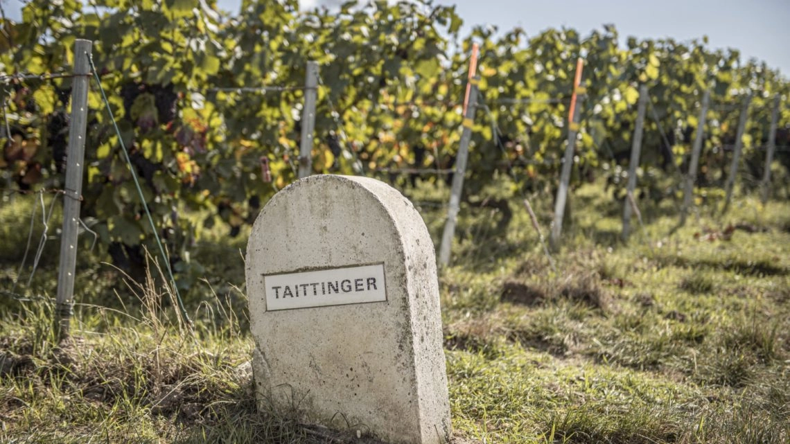 Vignoble de Taittinger