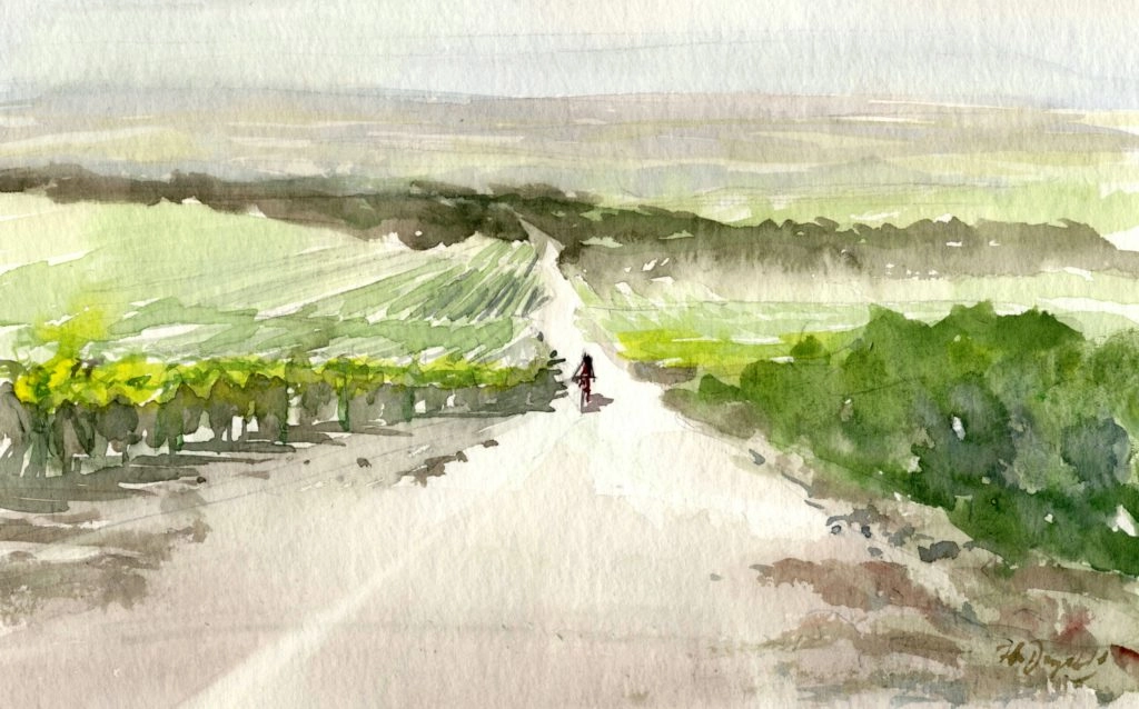 peinture de vignes