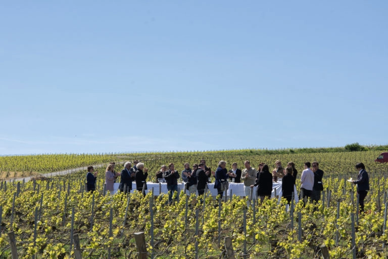 Banquet dans les vignes