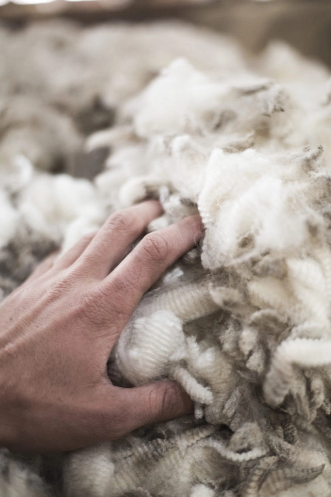 Cotton