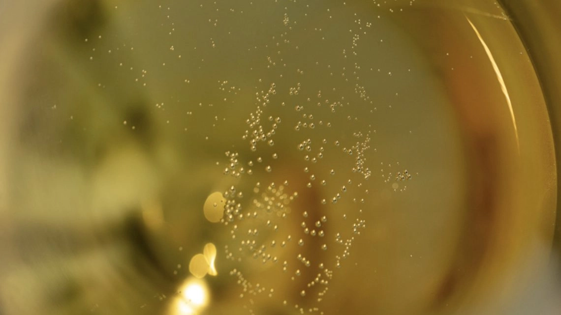 Champagne millésimé et non millésimé : quelles différences ? Champagne millésimé et non millésimé : quelles différences ?