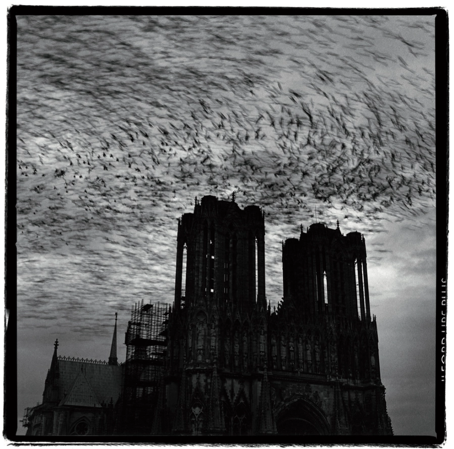 La cathédrale de Reims vue par Gérard Rondeau, une œuvre emblématique de son travail © Gérard Rondeau