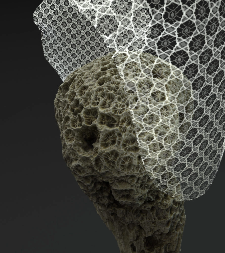 Corail Artefact