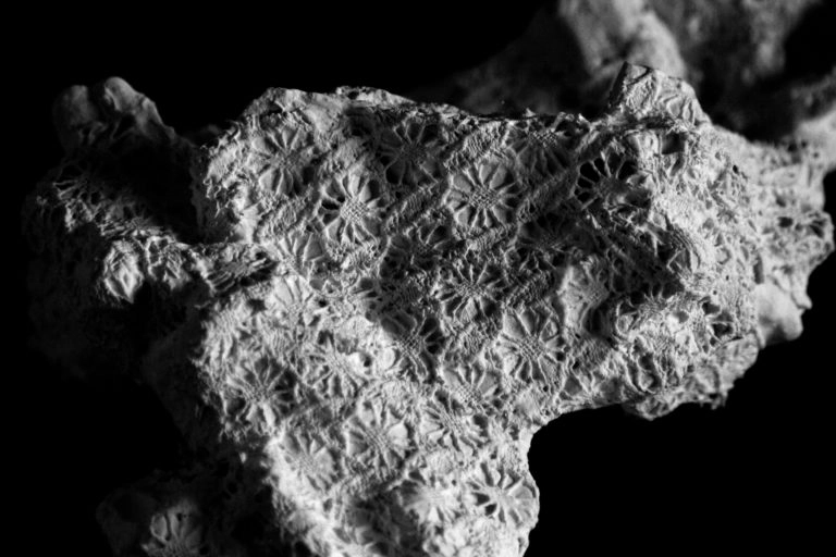 Corail Artefact