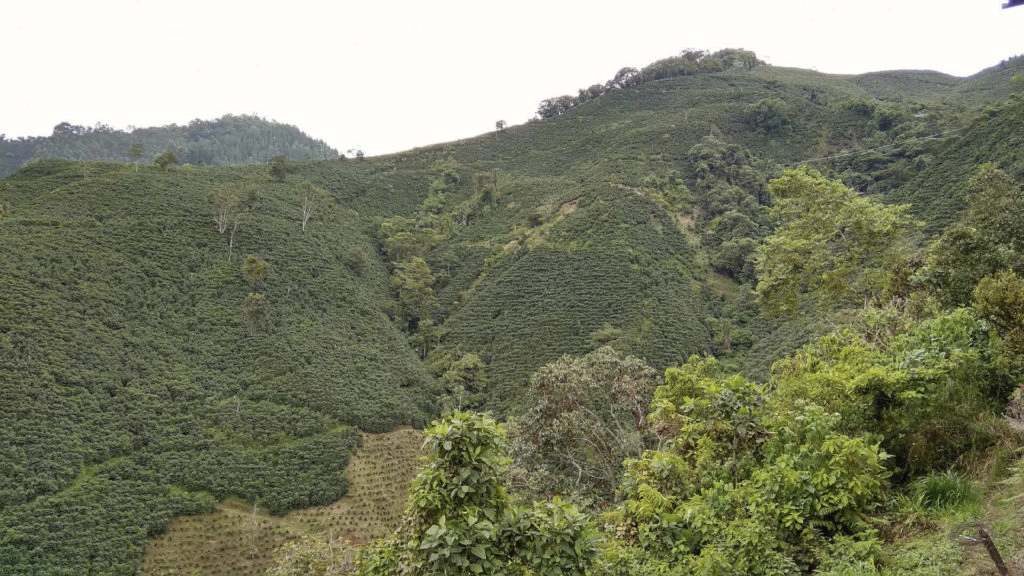 paysage colombien