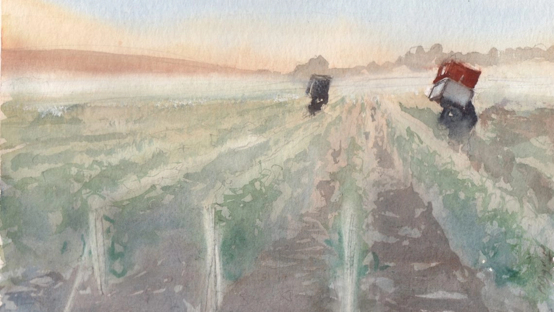 Peinture de vignes Peinture de vignes