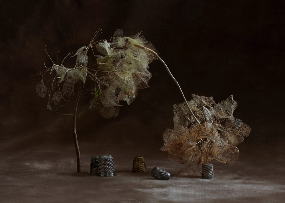 © Suzanne Jongmans, Familiar patterns, Courtesy Galerie Wilms