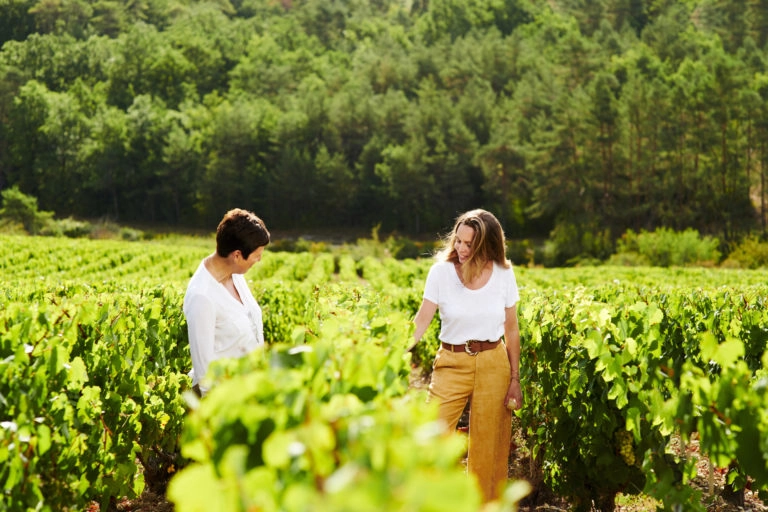 Vignes