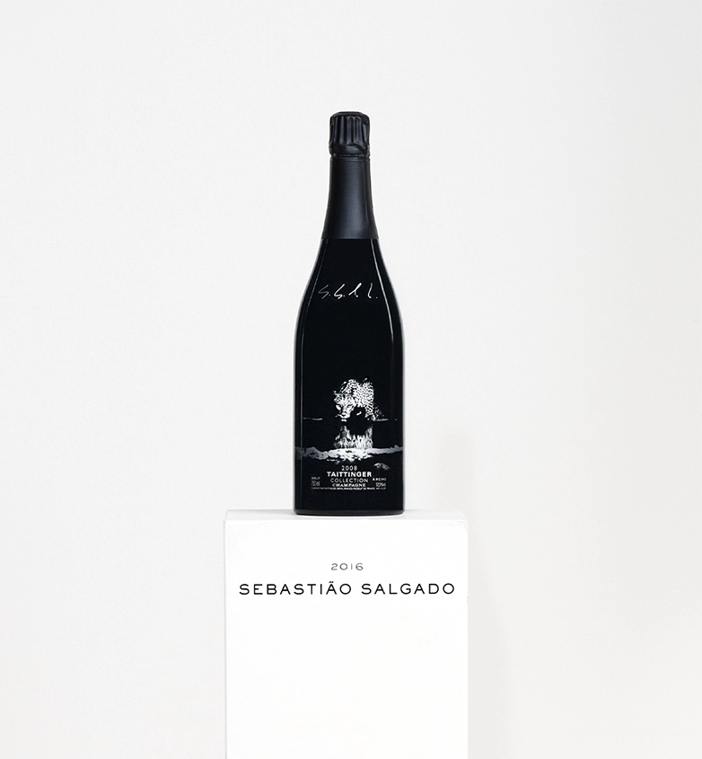Salgado, le sel de la terre