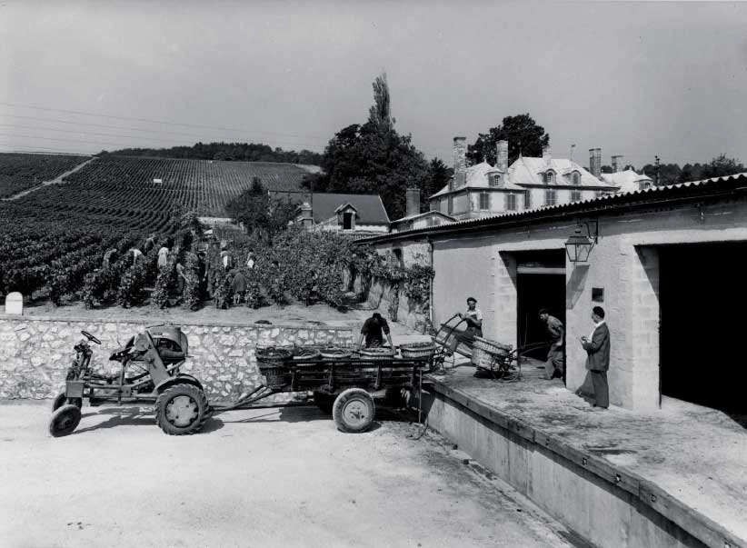 Vendanges au Château de la Marquetterie