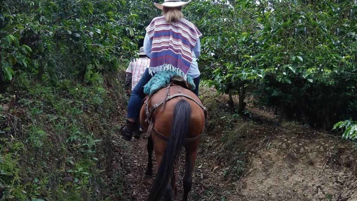 Vera sur son cheval Vera sur son cheval