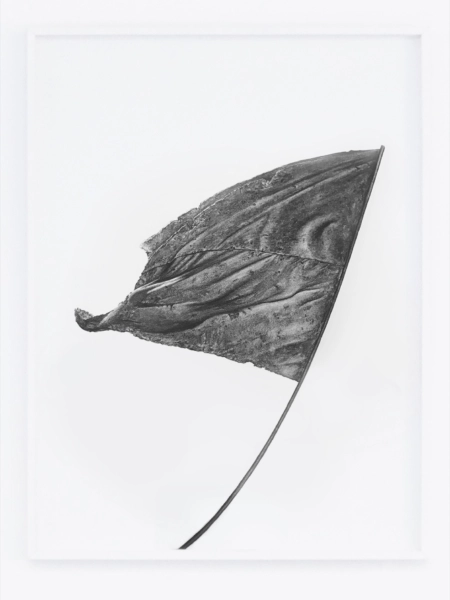 Mass d’Alexandre Zhu, artiste soutenu par Frédéric Lorin