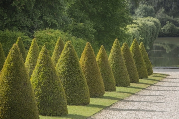 Les jardins du Château de la Motte Tilly